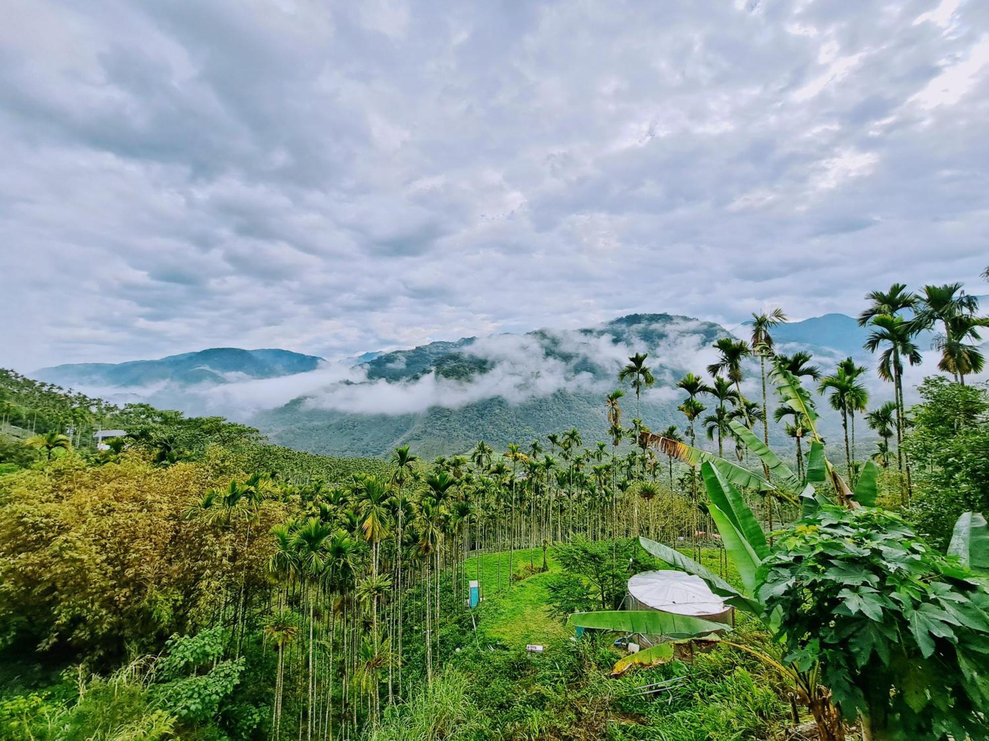 Appartamento Rainy Pleasure Meishan Esterno foto